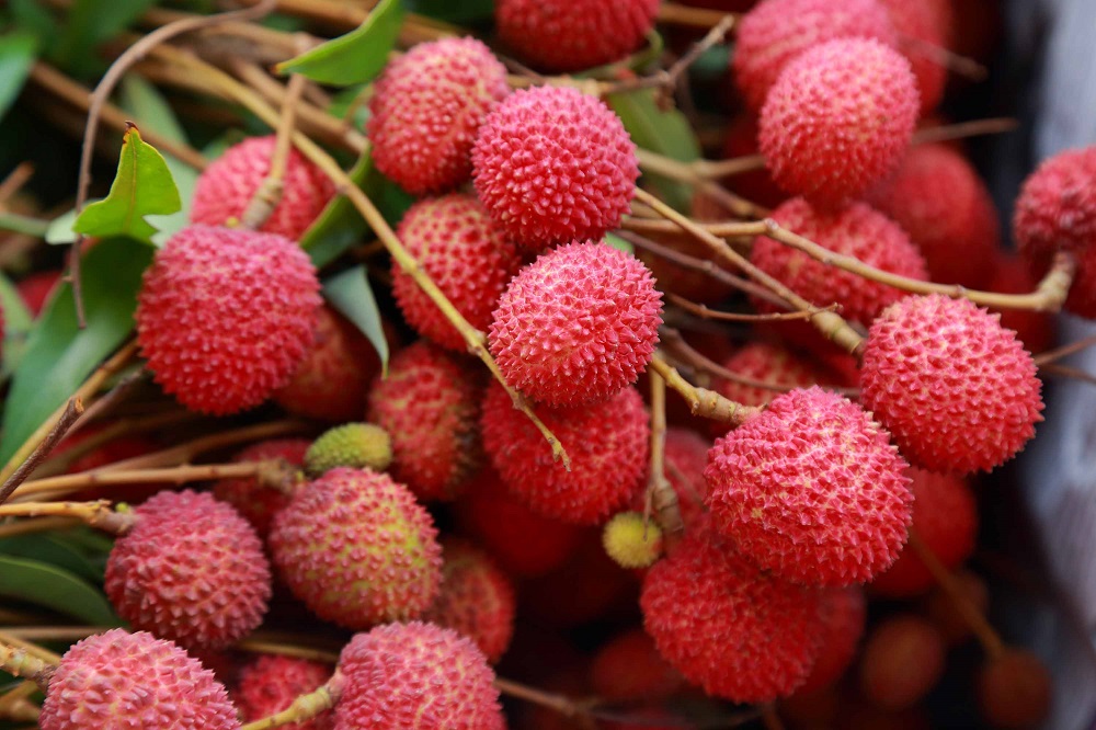 Health Benefits Of Litchi Fruit